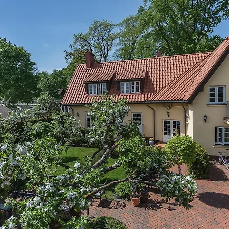 1956 * Паланга